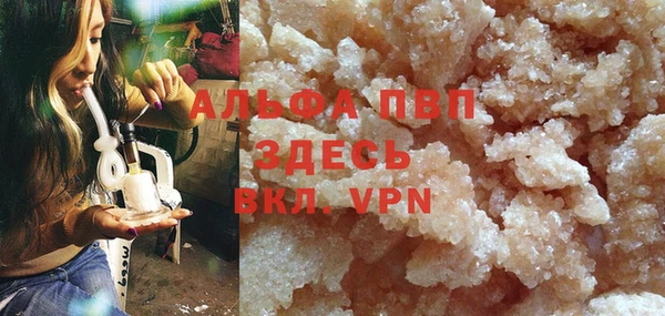 стаф Пересвет