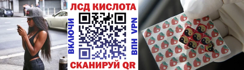 купить наркоту  Дубовка  Наркотические марки 1,5мг 