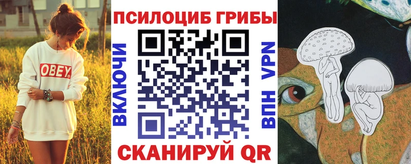 купить наркоту  Дубовка  Галлюциногенные грибы GOLDEN TEACHER 
